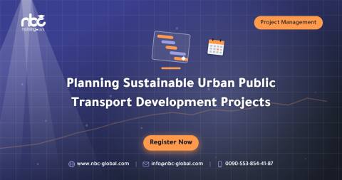 Planning Sustainable Urban Public Transport Development Projects
