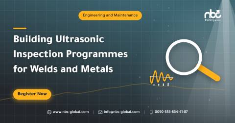 Building Ultrasonic Inspection Programmes for Welds and Metals