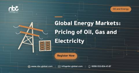 Global Energy Markets: Pricing of Oil, Gas and Electricity