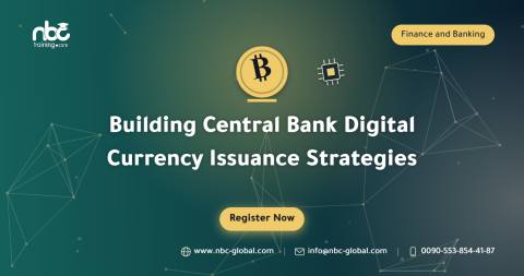 Building Central Bank Digital Currency Issuance Strategies