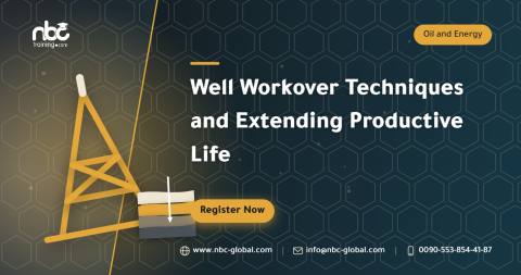 Well Workover Techniques and Extending Productive Life