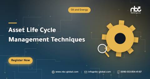 Asset Life Cycle Management Techniques