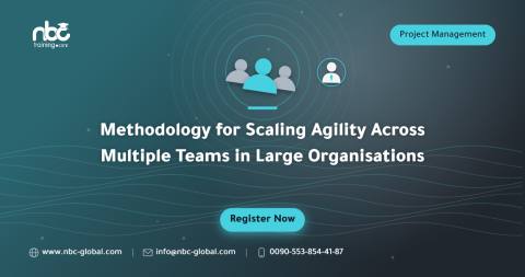 Methodology for Scaling Agility Across Multiple Teams in Large Organisations