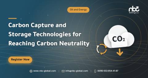Carbon Capture and Storage Technologies for Reaching Carbon Neutrality