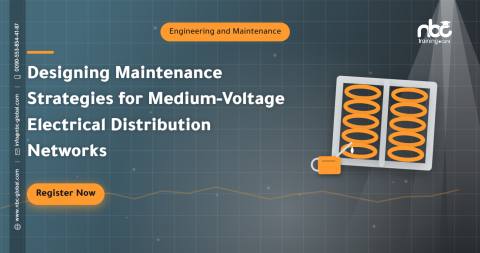 Designing Maintenance Strategies for Medium-Voltage Electrical Distribution Networks