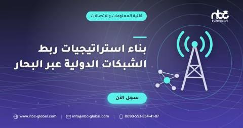 بناء استراتيجيات ربط الشبكات الدولية عبر البحار