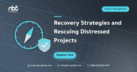 Recovery Strategies and Rescuing Distressed Projects