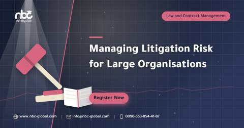 Managing Litigation Risk for Large Organisations