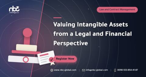 Valuing Intangible Assets from a Legal and Financial Perspective