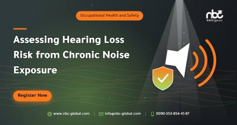 Assessing Hearing Loss Risk from Chronic Noise Exposure