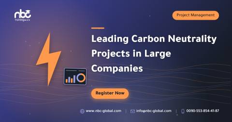 Leading Carbon Neutrality Projects in Large Companies