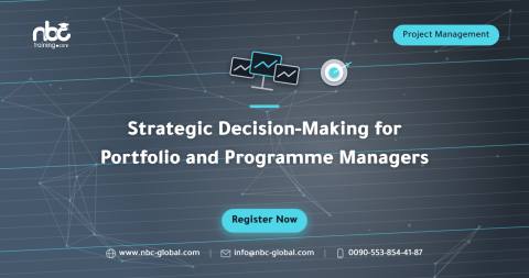 Strategic Decision-Making for Portfolio and Programme Managers