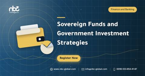 Sovereign Funds and Government Investment Strategies