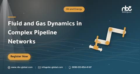 Fluid and Gas Dynamics in Complex Pipeline Networks