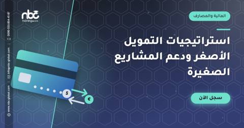 استراتيجيات التمويل الأصغر ودعم المشاريع الصغيرة