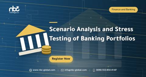 Scenario Analysis and Stress Testing of Banking Portfolios