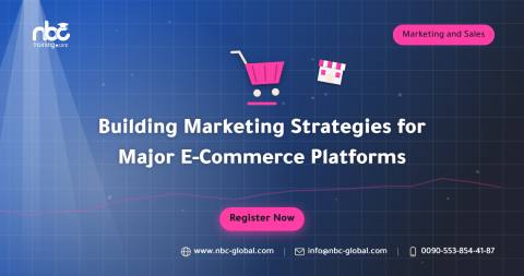 Building Marketing Strategies for Major E-Commerce Platforms