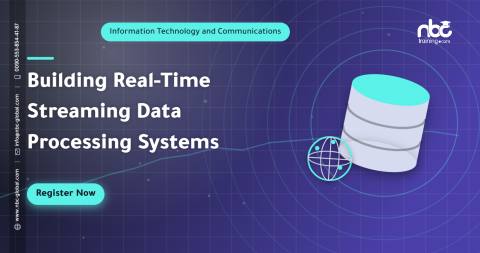 Building Real-Time Streaming Data Processing Systems