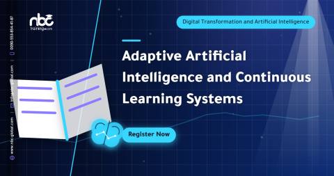 Adaptive Artificial Intelligence and Continuous Learning Systems