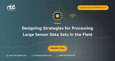 Designing Strategies for Processing Large Sensor Data Sets in the Field