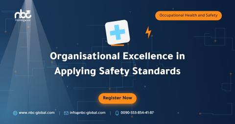 Organisational Excellence in Applying Safety Standards
