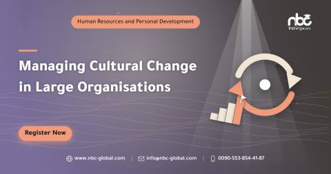 Managing Cultural Change in Large Organisations