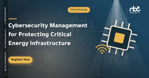 Cybersecurity Management for Protecting Critical Energy Infrastructure