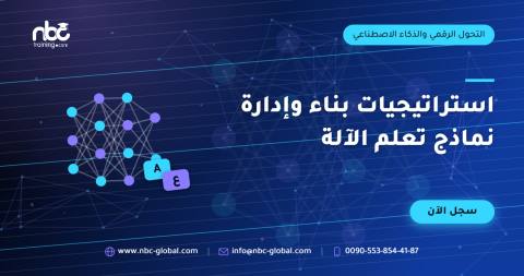 استراتيجيات بناء وإدارة نماذج تعلم الآلة