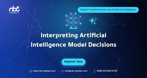 Interpreting Artificial Intelligence Model Decisions