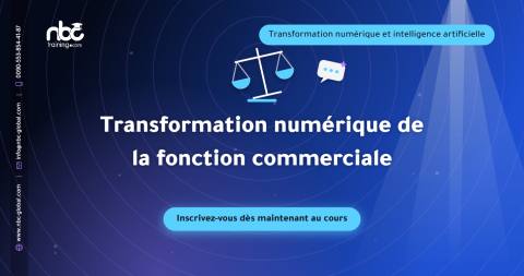 Transformation numérique de la fonction commerciale