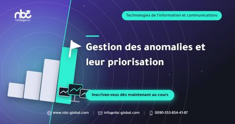 Gestion des anomalies et leur priorisation