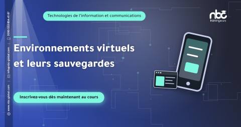 Environnements virtuels et leurs sauvegardes