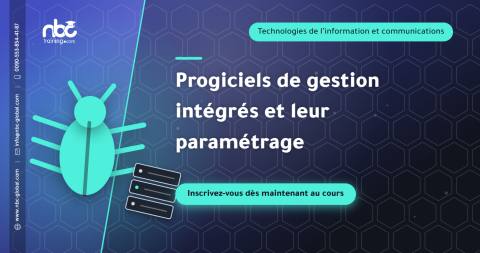 Progiciels de gestion intégrés et leur paramétrage