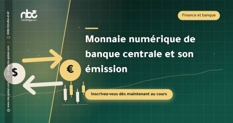 Monnaie numérique de banque centrale et son émission