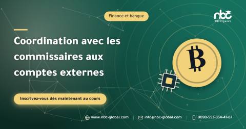 Coordination avec les commissaires aux comptes externes