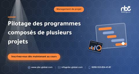 Pilotage des programmes composés de plusieurs projets