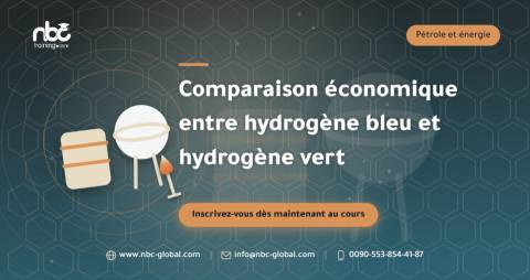Comparaison économique entre hydrogène bleu et hydrogène vert