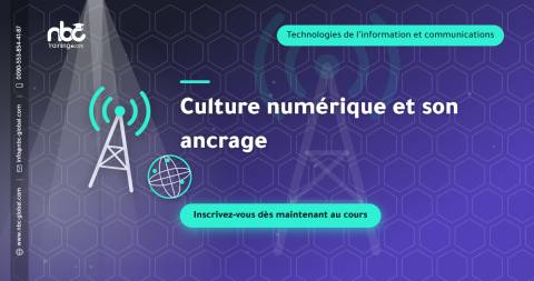Culture numérique et son ancrage
