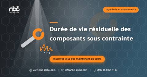 Durée de vie résiduelle des composants sous contrainte