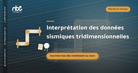 Interprétation des données sismiques tridimensionnelles