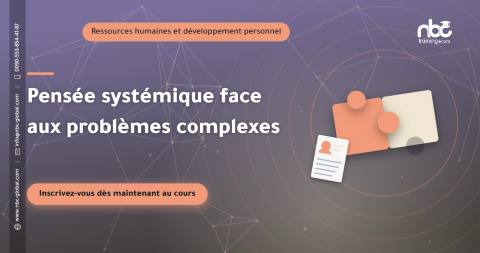 Pensée systémique face aux problèmes complexes