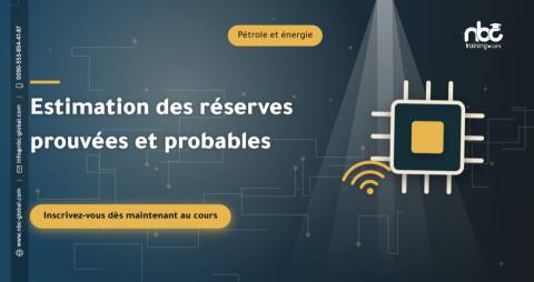 Estimation des réserves prouvées et probables