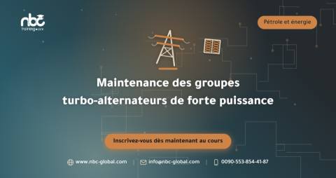 Maintenance des groupes turbo-alternateurs de forte puissance