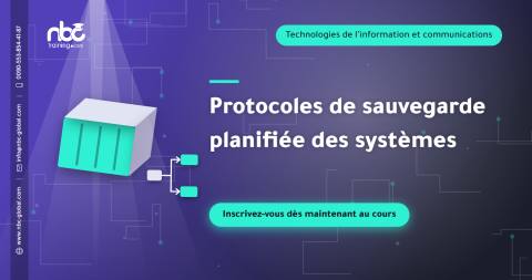 Protocoles de sauvegarde planifiée des systèmes