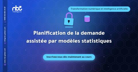 Planification de la demande assistée par modèles statistiques