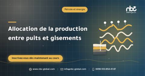 Allocation de la production entre puits et gisements