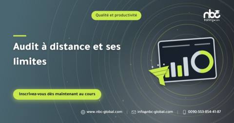 Audit à distance et ses limites