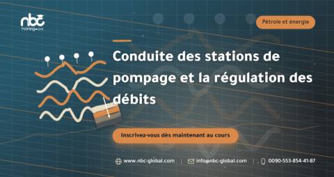 Conduite des stations de pompage et la régulation des débits