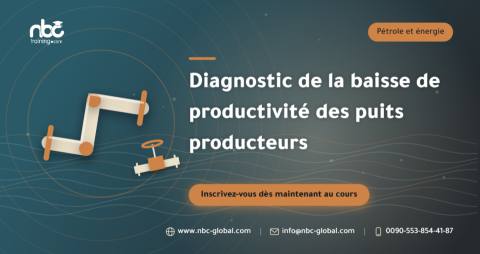 Diagnostic de la baisse de productivité des puits producteurs