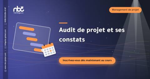 Audit de projet et ses constats